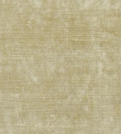 Glenville Fabric by Designers Guild Ecru Glenville Fabric by Designers Guild Ecru
