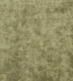 Glenville Fabric by Designers Guild Doeskin Glenville Fabric by Designers Guild Doeskin
