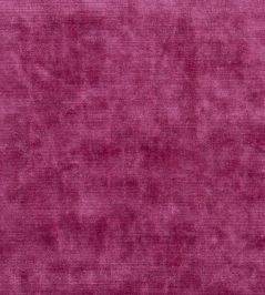 Glenville Fabric by Designers Guild Camellia Glenville Fabric by Designers Guild Camellia