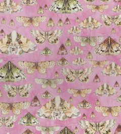 Issoria Wallpaper by Designers Guild Rose Issoria Wallpaper by Designers Guild Rose