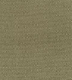 Madrid Fabric by Designers Guild Thyme Madrid Fabric by Designers Guild Thyme