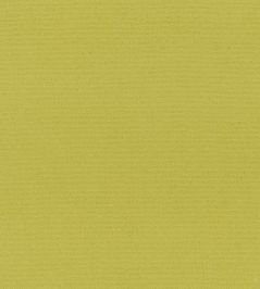 Madrid Fabric by Designers Guild Lime Madrid Fabric by Designers Guild Lime