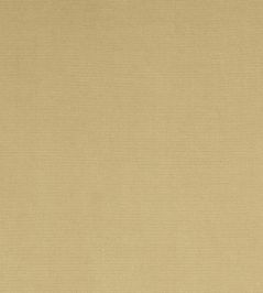 Madrid Fabric by Designers Guild Sand Madrid Fabric by Designers Guild Sand