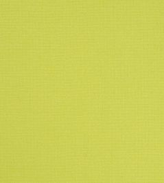 Manzoni Fabric by Designers Guild Pistachio Manzoni Fabric by Designers Guild Pistachio