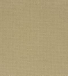 Manzoni Fabric by Designers Guild Driftwood Manzoni Fabric by Designers Guild Driftwood