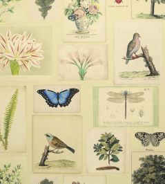 Flora And Fauna Wallpaper by Designers Guild Parchment Flora And Fauna Wallpaper by Designers Guild Parchment