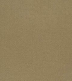 Tiber Fabric by Designers Guild Reed Tiber Fabric by Designers Guild Reed