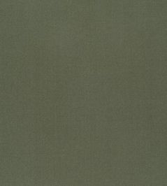 Tiber Fabric by Designers Guild Avocado Tiber Fabric by Designers Guild Avocado