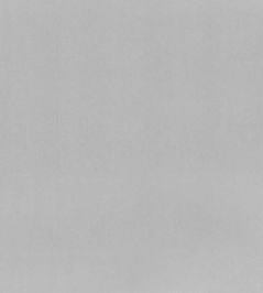 Tiber Fabric by Designers Guild Zinc Tiber Fabric by Designers Guild Zinc