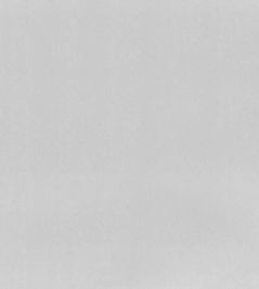 Tiber Fabric by Designers Guild Silver Tiber Fabric by Designers Guild Silver