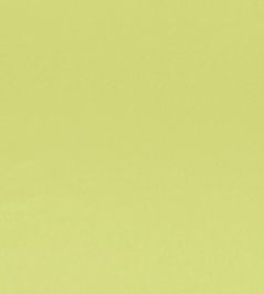 Tiber Fabric by Designers Guild Lime Tiber Fabric by Designers Guild Lime