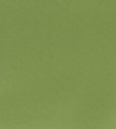 Tiber Fabric by Designers Guild Forest Tiber Fabric by Designers Guild Forest