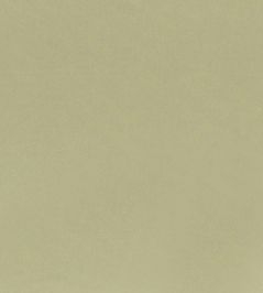 Tiber Fabric by Designers Guild Cumin Tiber Fabric by Designers Guild Cumin