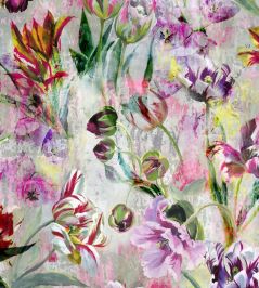 Tulipa Stellata Mural by Designers Guild Fuchsia Tulipa Stellata Mural by Designers Guild Fuchsia