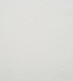 Zaragoza Fabric by Designers Guild Alabaster Zaragoza Fabric by Designers Guild Alabaster