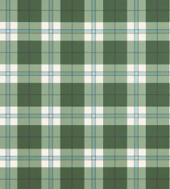 Douglas Plaid Wallpaper by Thibaut Green Douglas Plaid Wallpaper by Thibaut Green
