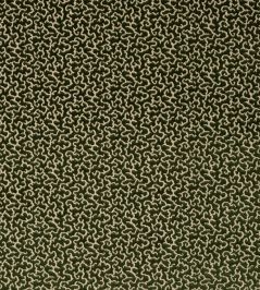 Drago Fabric by Manuel Canovas Vert Empire Drago Fabric by Manuel Canovas Vert Empire