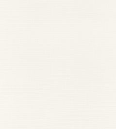 Dune Fabric by Thibaut Ivory Dune Fabric by Thibaut Ivory