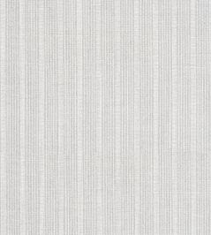 Ebro Stripe Fabric by Thibaut Sterling Ebro Stripe Fabric by Thibaut Sterling
