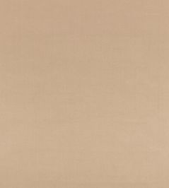 Eldon Linen Fabric by GP & J Baker Antique Eldon Linen Fabric by GP & J Baker Antique