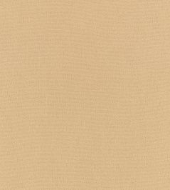 Elio FR Fabric by Romo Fudge Elio FR Fabric by Romo Fudge