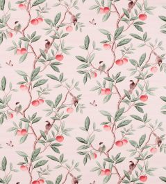 Ella Fabric by Harlequin Powder / Sage / Peach Ella Fabric by Harlequin Powder / Sage / Peach