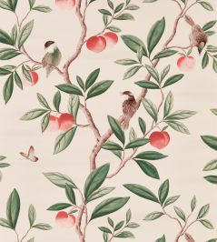 Ella Wallpaper by Harlequin Powder / Sage / Peach Ella Wallpaper by Harlequin Powder / Sage / Peach
