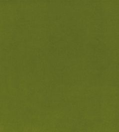 Encore Velvet Fabric by Osborne & Little Frog Encore Velvet Fabric by Osborne & Little Frog