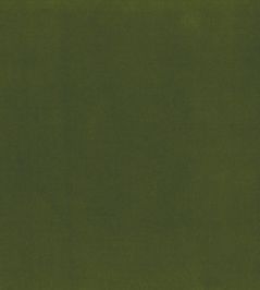 Encore Velvet Fabric by Osborne & Little Green Encore Velvet Fabric by Osborne & Little Green