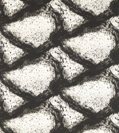 Enigmatic Fabric by Harlequin Black Earth Enigmatic Fabric by Harlequin Black Earth
