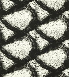 Enigmatic Outdoor Fabric by Harlequin Black Earth/First Light Enigmatic Outdoor Fabric by Harlequin Black Earth/First Light