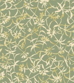 Entwine Wallpaper by Ohpopsi Fern Entwine Wallpaper by Ohpopsi Fern