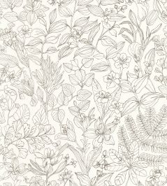 Esquisse Wallpaper by Casadeco Noir Gravure Esquisse Wallpaper by Casadeco Noir Gravure