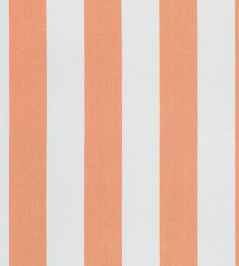 Eston Fabric by Romo Mango Eston Fabric by Romo Mango