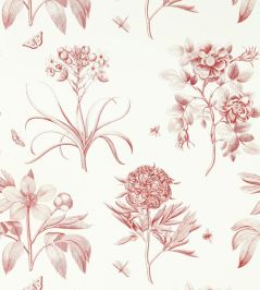 Etchings & Roses Wallpaper by Sanderson Amanpuri Red Etchings & Roses Wallpaper by Sanderson Amanpuri Red