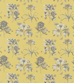 Etchings & Roses Fabric by Sanderson Empire Yellow Etchings & Roses Fabric by Sanderson Empire Yellow