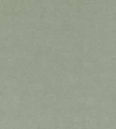 Eternal Fabric by Lizzo Pistachio Eternal Fabric by Lizzo Pistachio