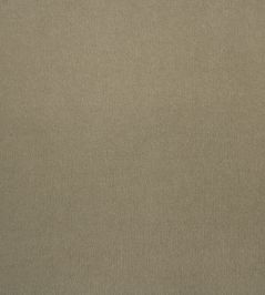 Eternal Fabric by Lizzo Taupe Eternal Fabric by Lizzo Taupe