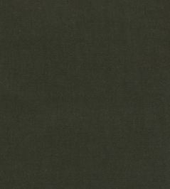 Eternal Fabric by Lizzo Seaweed Eternal Fabric by Lizzo Seaweed