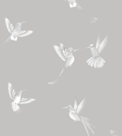 Exotic Birds Wallpaper by Brand McKenzie Concrete Grey Exotic Birds Wallpaper by Brand McKenzie Concrete Grey