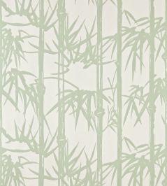 Bamboo Wallpaper by Farrow & Ball Cooking Apple Green Bamboo Wallpaper by Farrow & Ball Cooking Apple Green