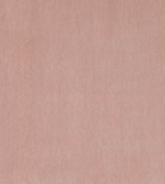 Faze Fabric by Kirkby Design Blossom Faze Fabric by Kirkby Design Blossom