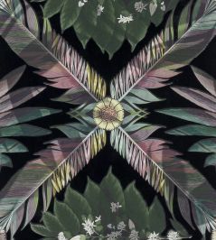 Feather Park Wallpaper by Christian Lacroix Jais Feather Park Wallpaper by Christian Lacroix Jais