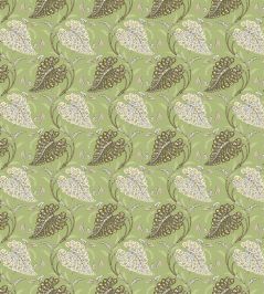 Felbrigg Fabric by Nina Campbell Sage/Ivory/Sepia Felbrigg Fabric by Nina Campbell Sage/Ivory/Sepia