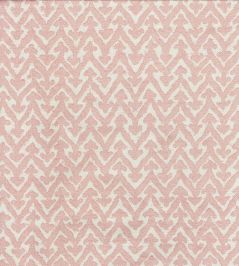 Rabanna Fabric by Fermoie Blush Rabanna Fabric by Fermoie Blush