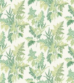 Fern Craze Fabric by Nina Campbell Green/Lime Fern Craze Fabric by Nina Campbell Green/Lime
