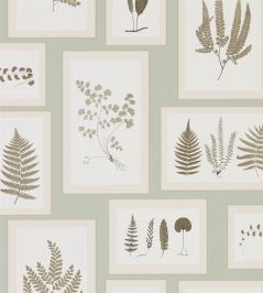Fern Gallery Wallpaper by Sanderson Blue/Sepia Fern Gallery Wallpaper by Sanderson Blue/Sepia