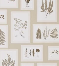 Fern Gallery Wallpaper by Sanderson Linen/Sepia Fern Gallery Wallpaper by Sanderson Linen/Sepia