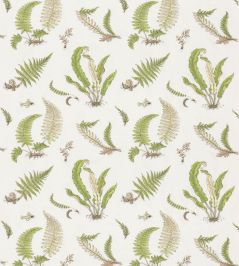 Ferns Embroidery Fabric by GP & J Baker Green Ferns Embroidery Fabric by GP & J Baker Green