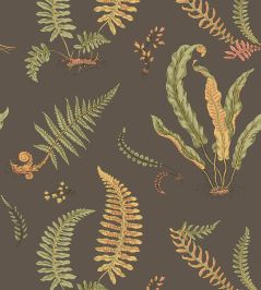Ferns Wallpaper by GP & J Baker Charcoal Ferns Wallpaper by GP & J Baker Charcoal
